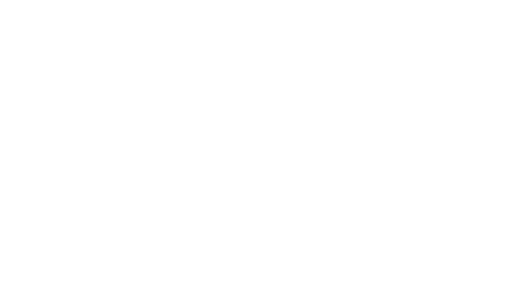 logo-veron-neu